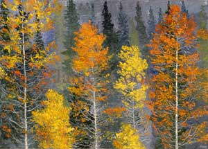 Blue River Autumn 07 #1