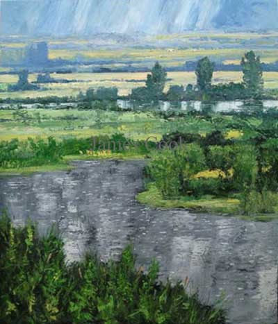 Rain Drops - Silver Creek