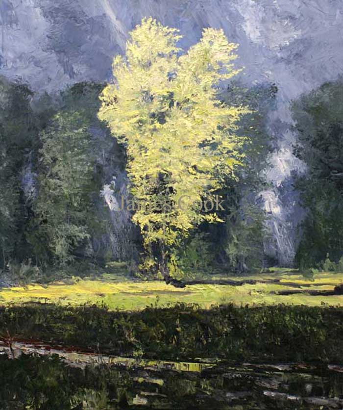 Thunderstorm #1 08