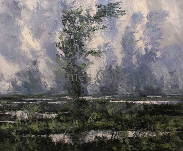 Thunderstorm #2 08