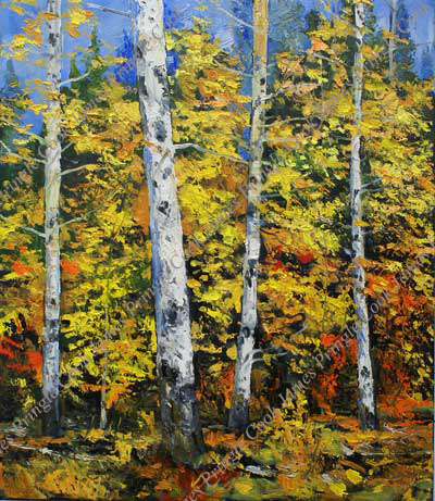 James Pringle Cook oil painting of aspen trees on Mt. Lemmon