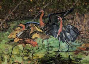 DeAnn Melton oil painting of reddish egrets